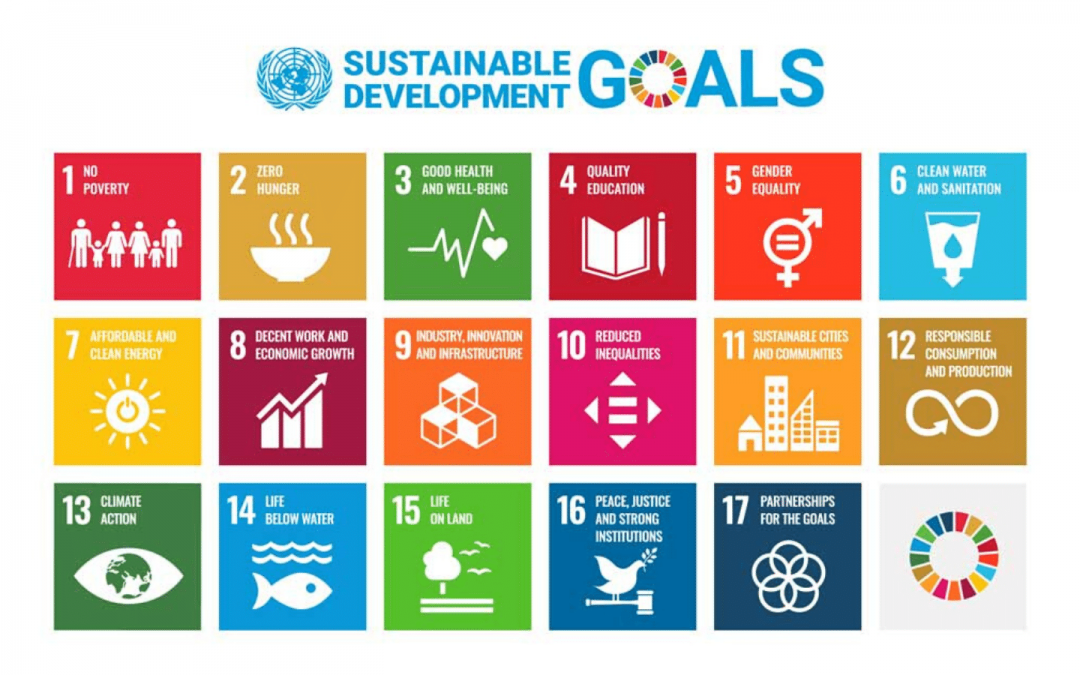 Threads of Life and the UN’s Sustainable Development Goals