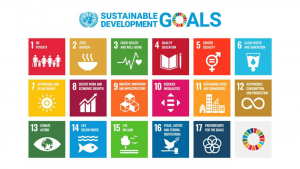 UN Sustainable Development Goal icons with logo