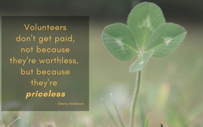 Measuring the True Value of Volunteering