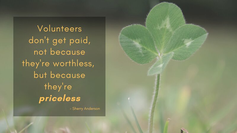 Measuring the True Value of Volunteering