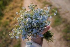 a hand holds a bouquet of forget me not flowers