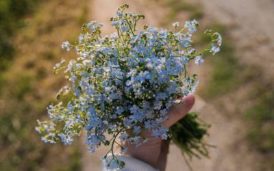 Forget-Me-Not Day: In love, gratitude, and respect
