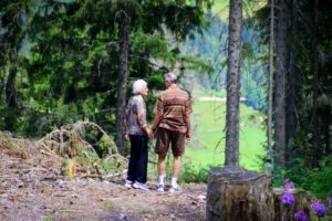 An older couple stand holding hands amidst a pine forest