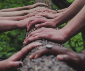 hands side by side up a tree trunk