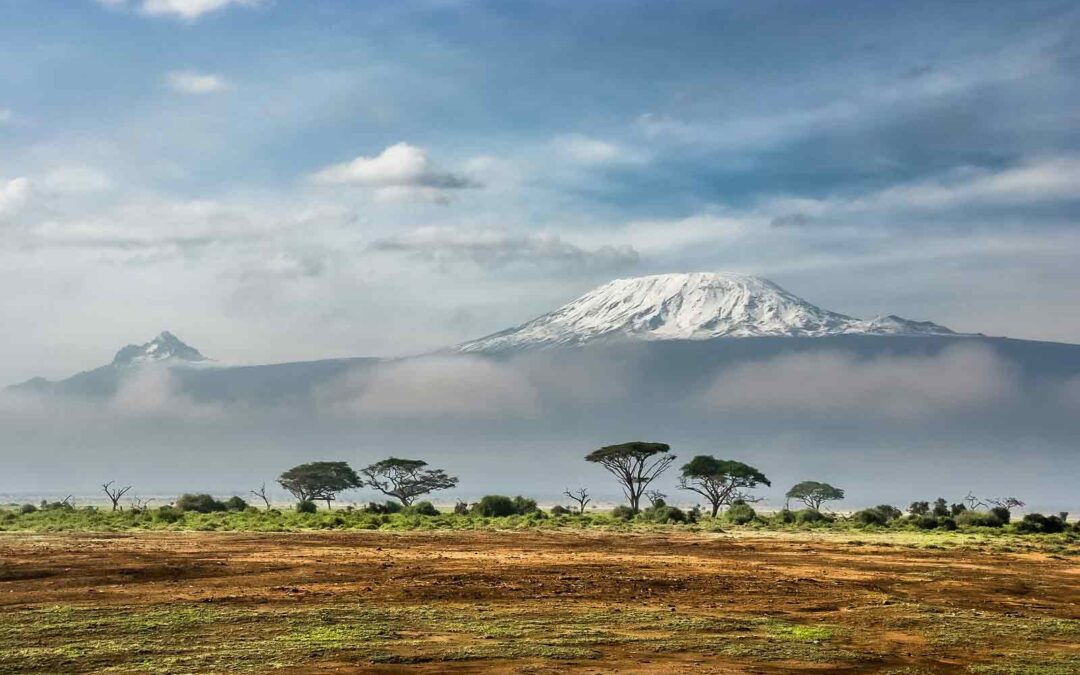 A community of support – on Kilimanjaro and for families after a workplace tragedy