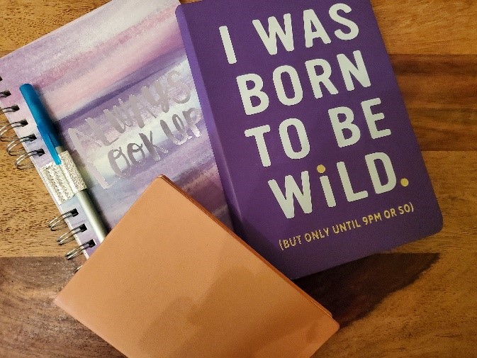 A stack of 3 journals - the covers read "I was born to be wild. (but only before 9pm or so), one is blank, and the last reads "always look up"