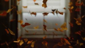 Dozens of orange butterflies flutter in the foreground. Some are in focus, and other are blurred in the background. Behind the butterflies, there is a blurred image of a window with a white frame and a blind that is half raised.