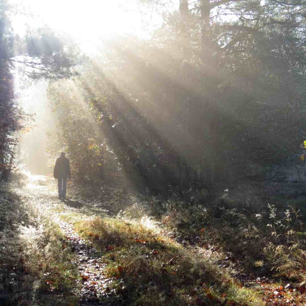 person walking through the forest, into a ray of light
